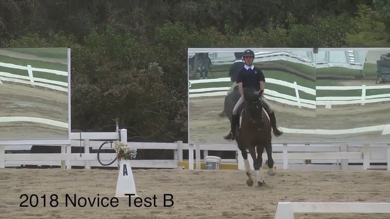 2018 Novice Tests - Dressage Test B | Robyn Fisher | PART 03