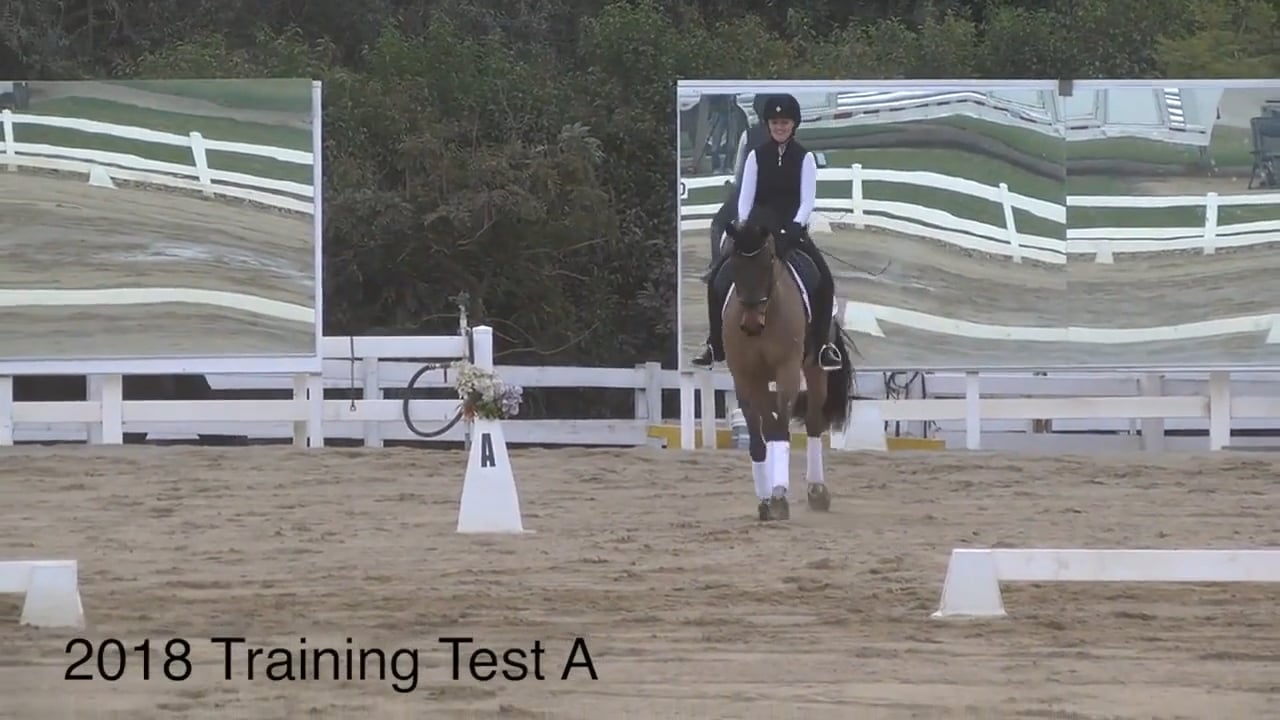2018 Training Level Dressage Test A - Judge's Perspective | Robyn Fisher