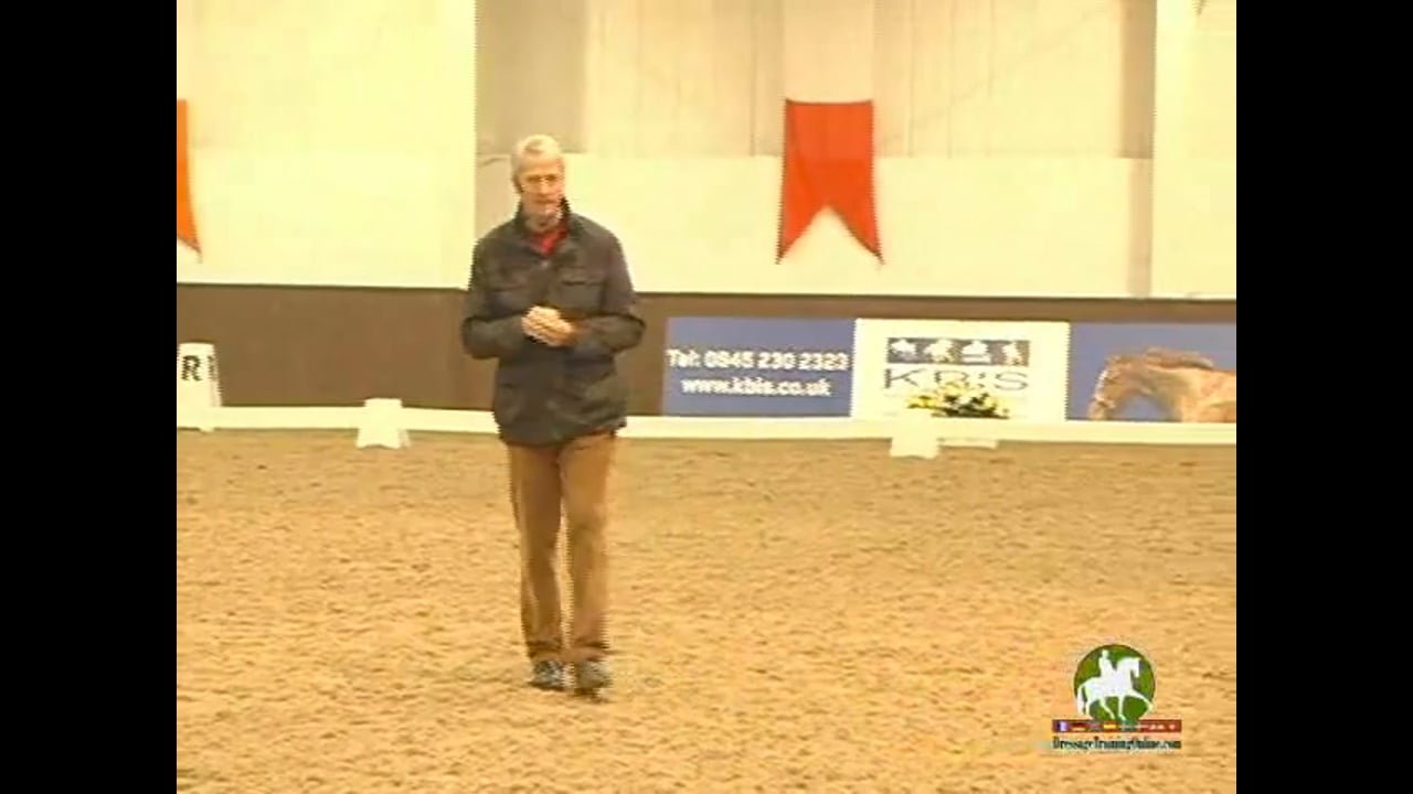 Young Horse: Obedience, Stopping Leaning on The Leg | Jean Bemelmans | PART 03