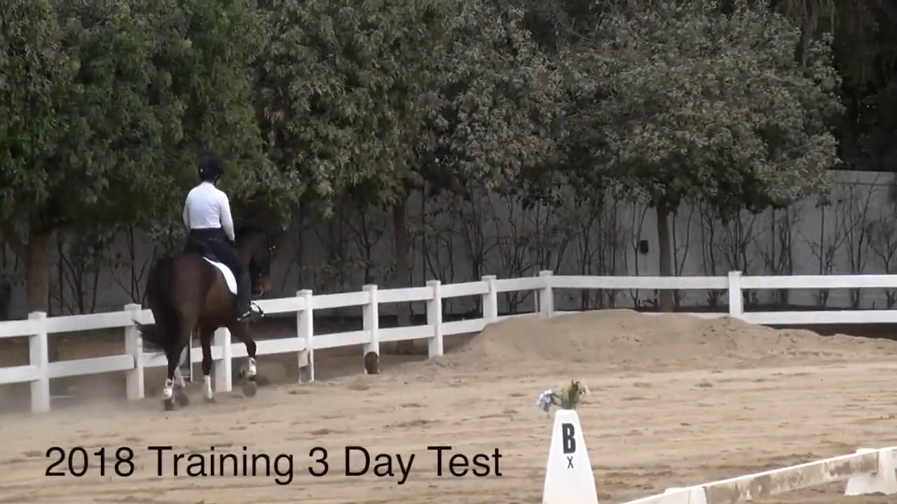 2018 Training Level Dressage Test - Judge's Perspective | Robyn Fisher