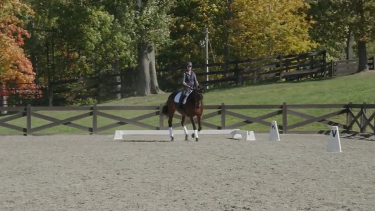 Schooling Walk Pirouettes