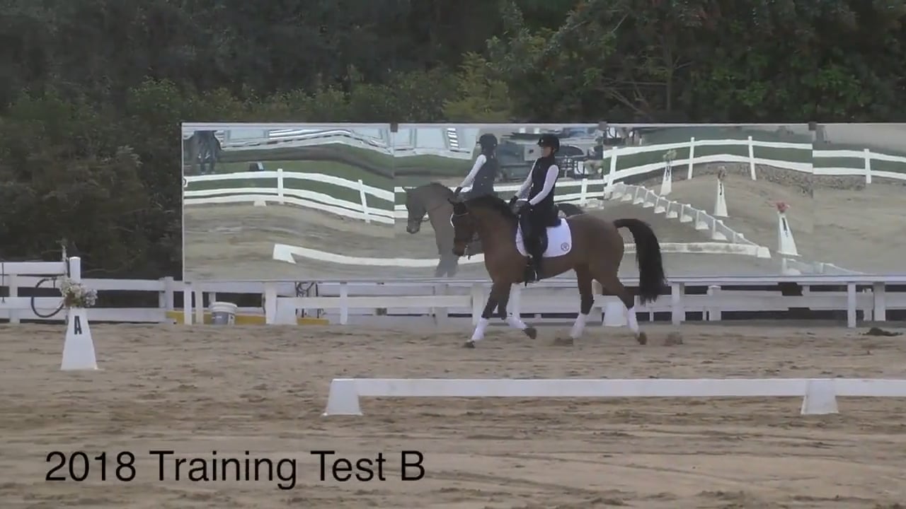 2018 Training Level Dressage Test B - Judge's Perspective | Robyn Fisher