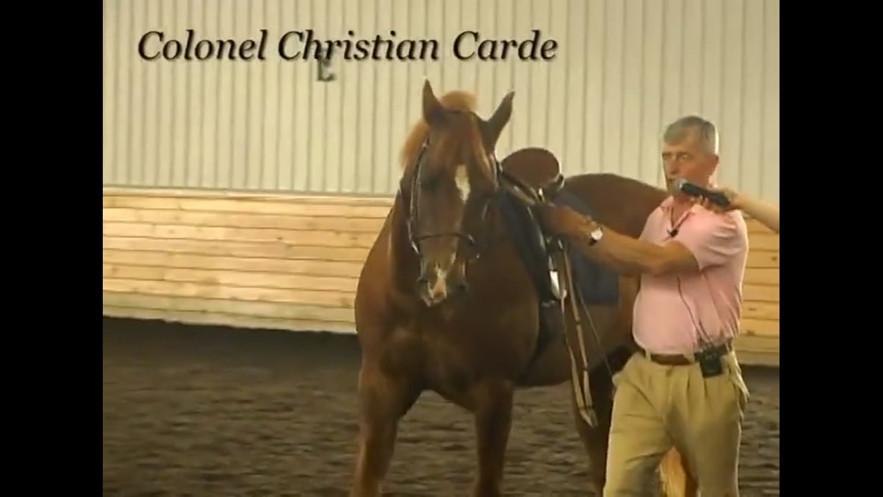 Work in Hand and Obedience | Colonel Christian Carde | PART 03