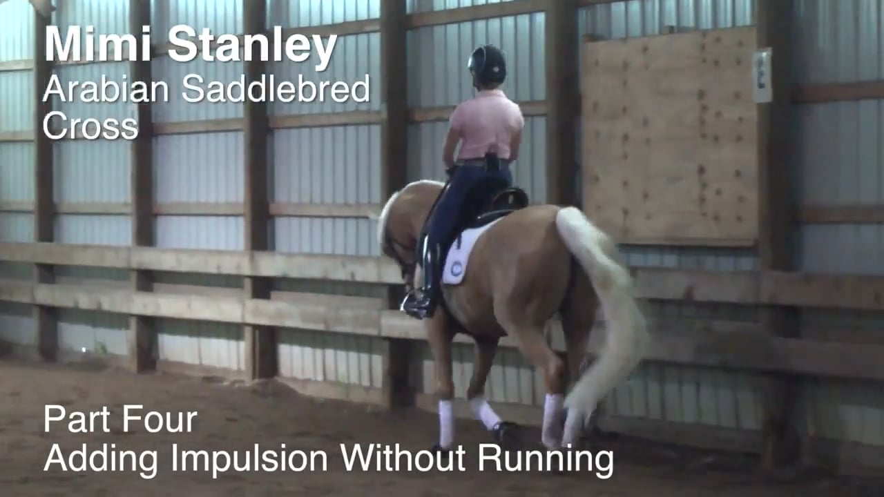 Arabian-Saddlebred Cross | Mimi Stanley | PART 04