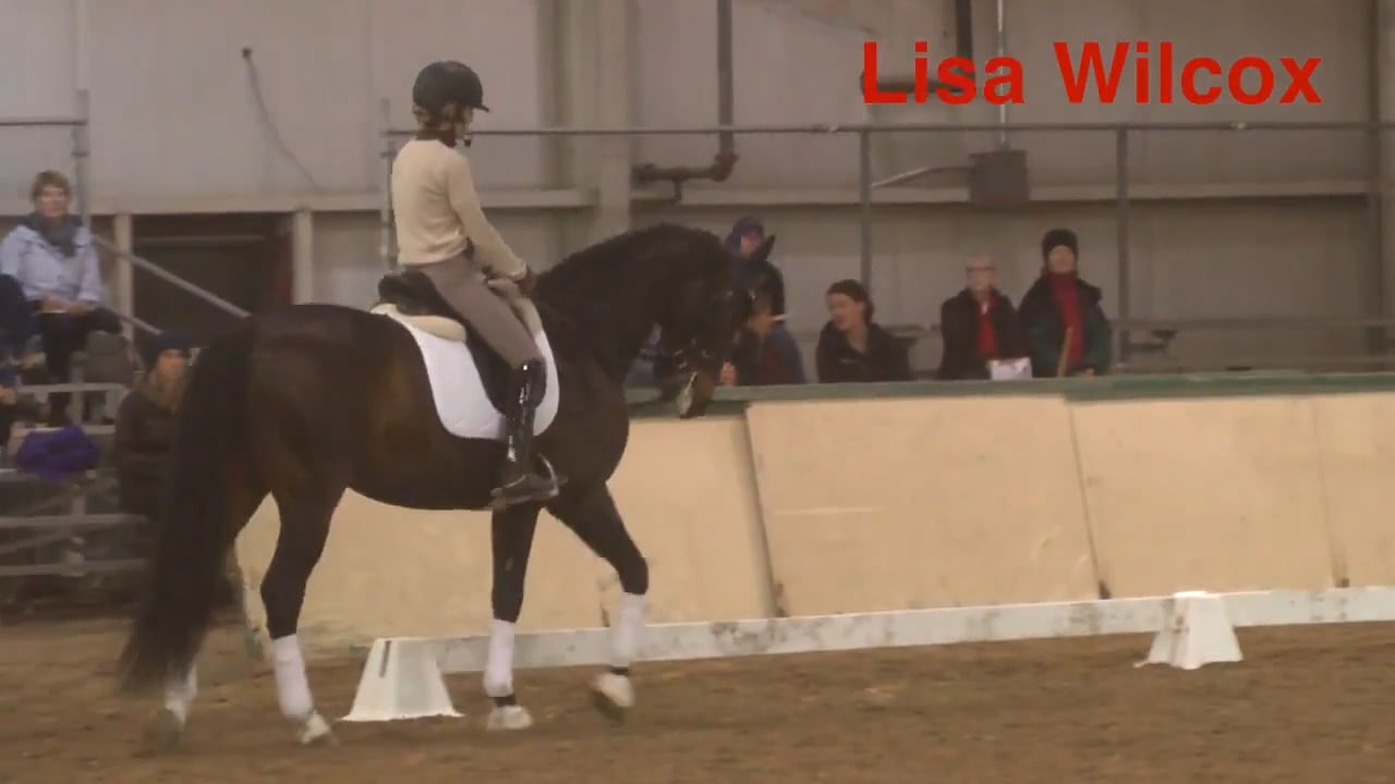 Bend and the Outside Rein | Lisa Wilcox | TRAILER