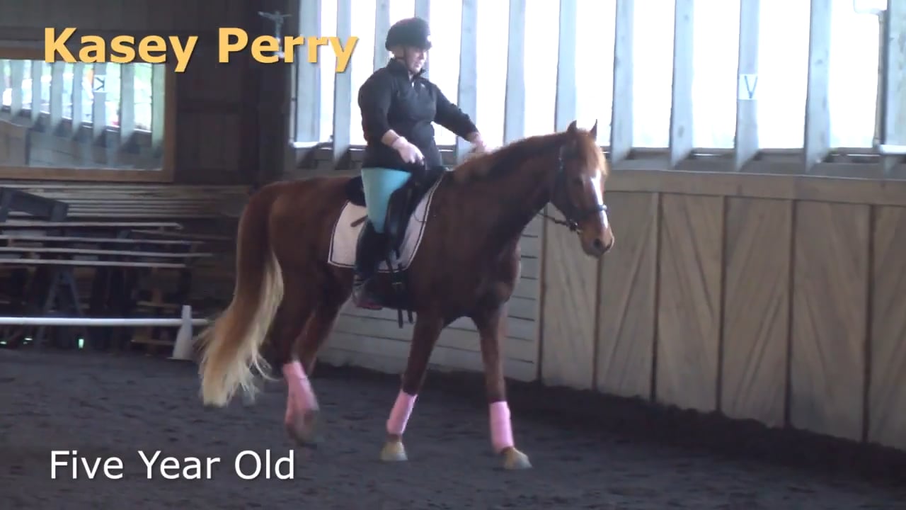 5 Year Old | Kasey Perry-Glass | PART 02