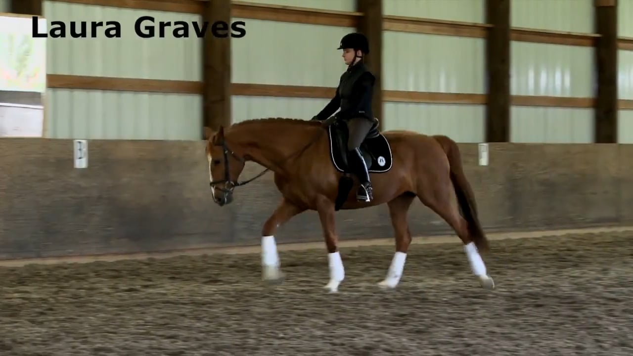Adjustability in the Canter | Laura Graves | PART 02