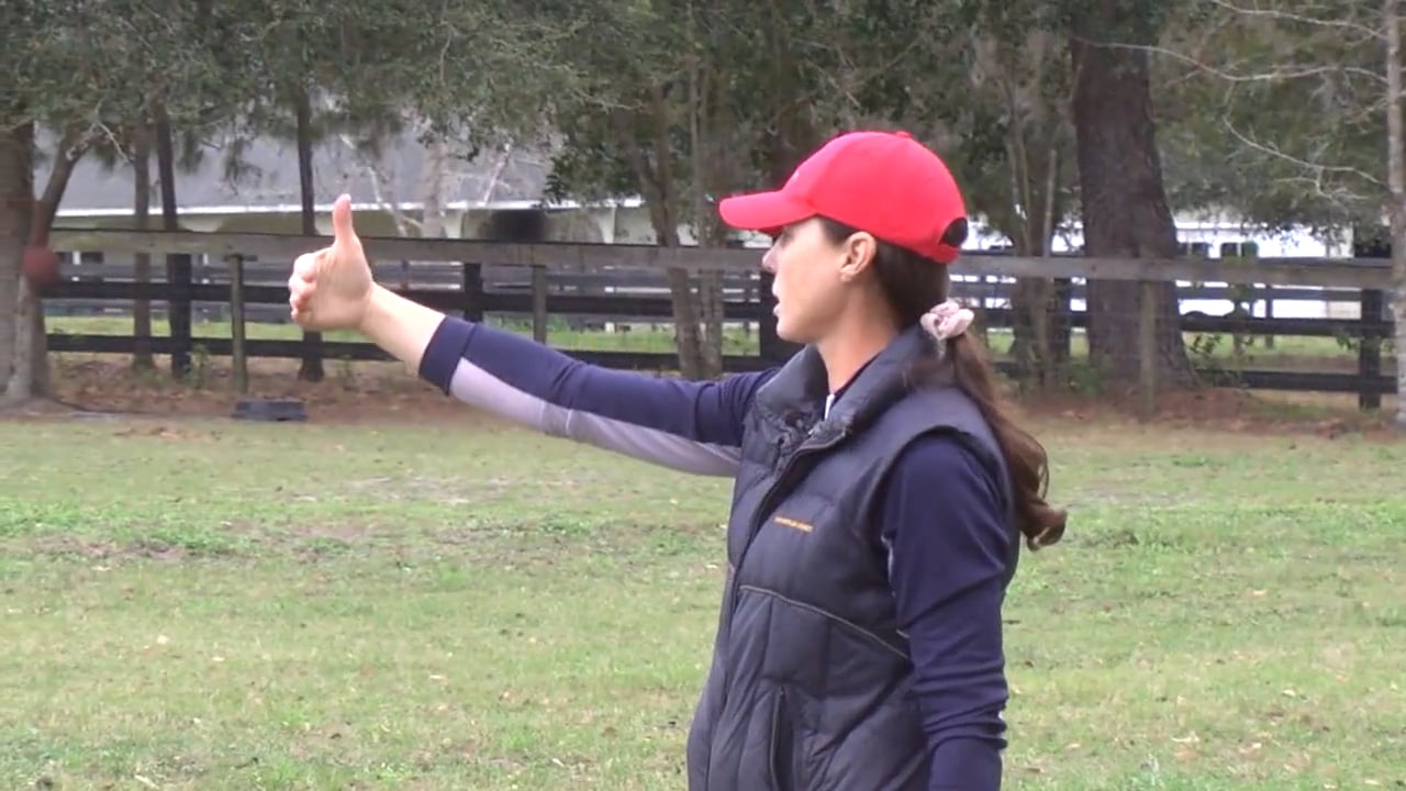 Cavalletti for Jumping | Ashley Johnson | PART 03