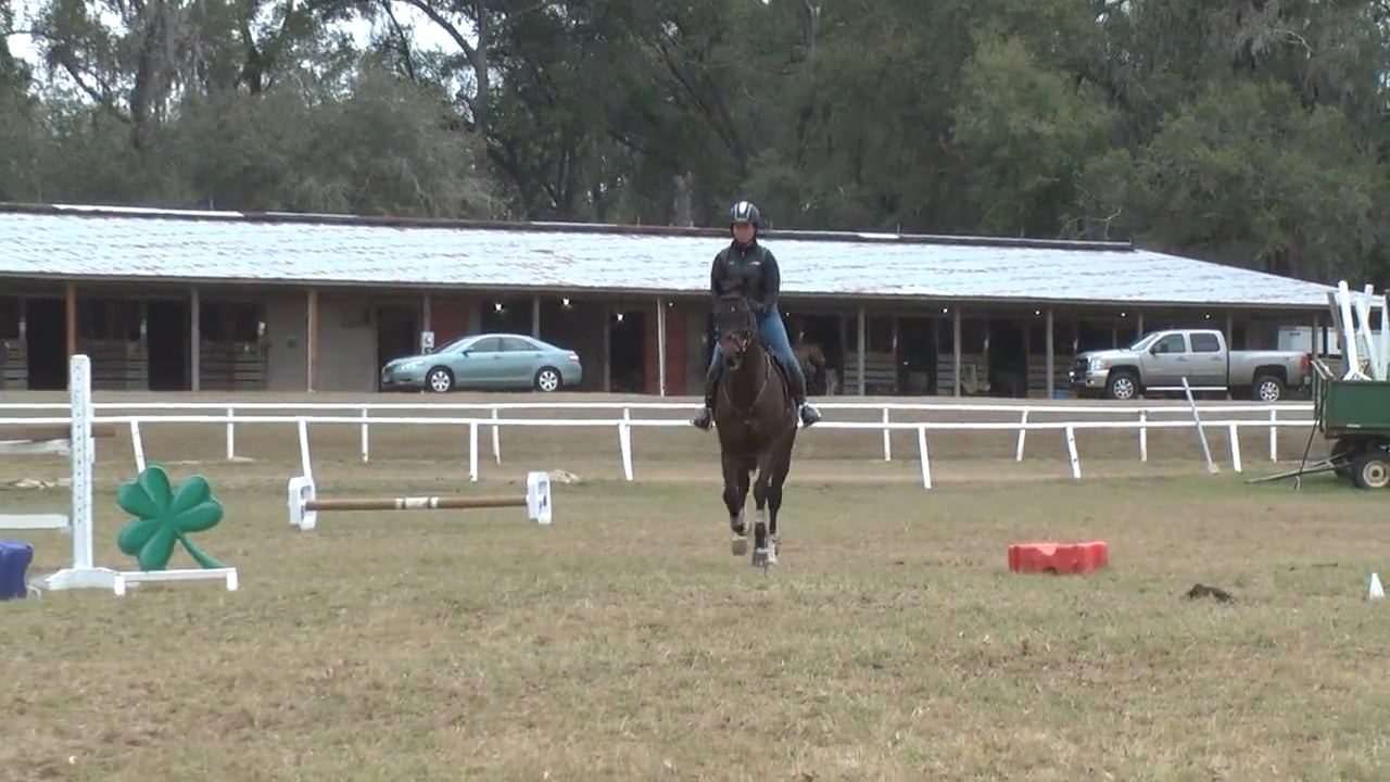 Early Spring Stadium School | Buck Davidson | TRAILER