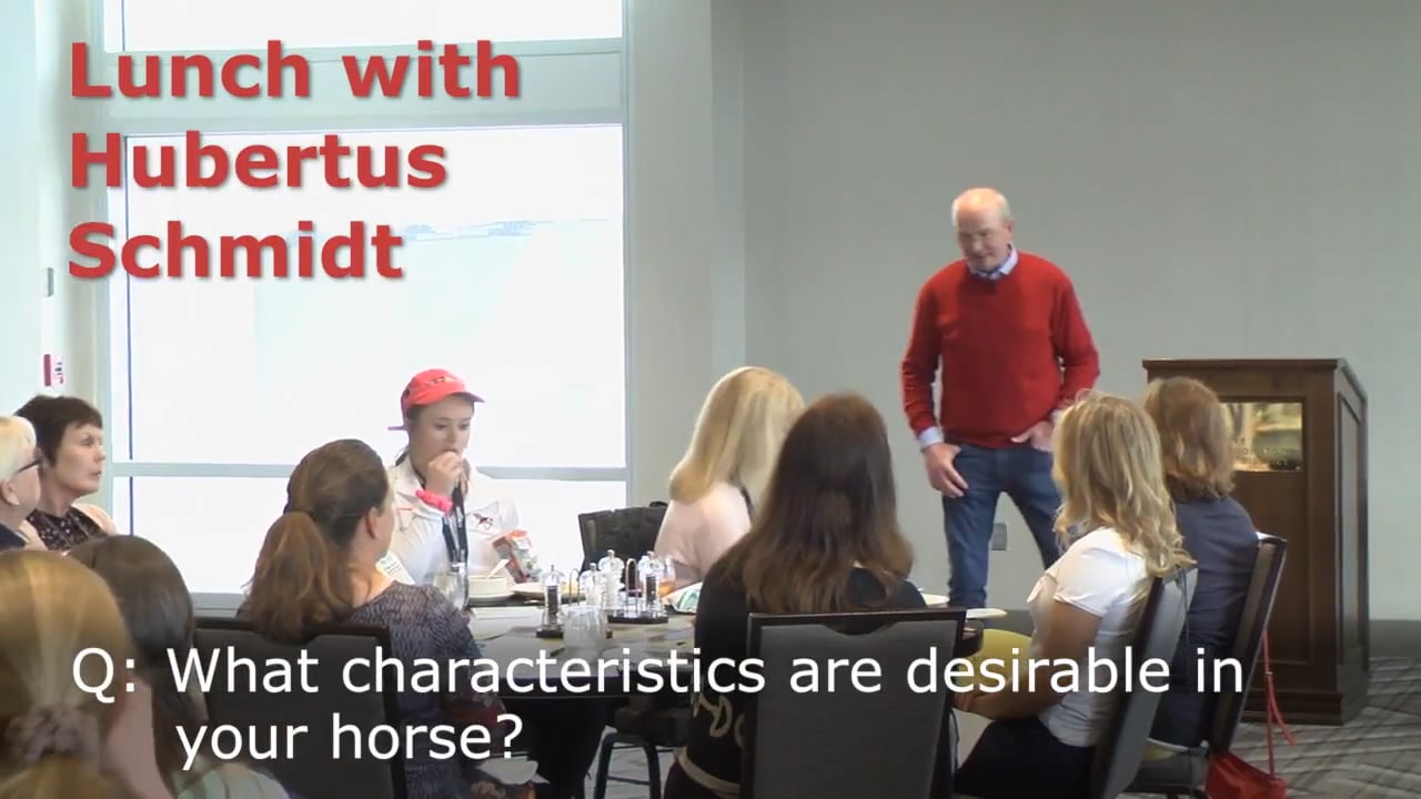 Desirable Characteristics in Horses | Hubertus Schmidt