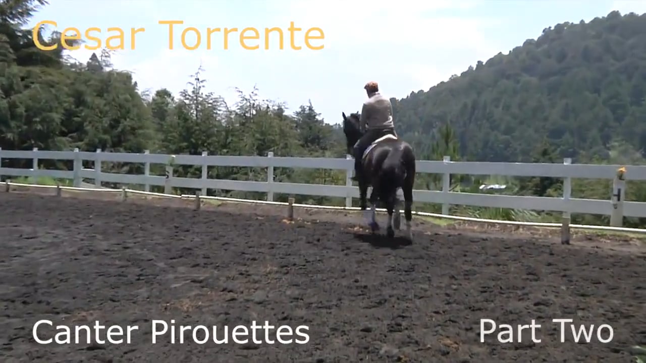 Canter Pirouettes | Cesar Torrente | PART 02