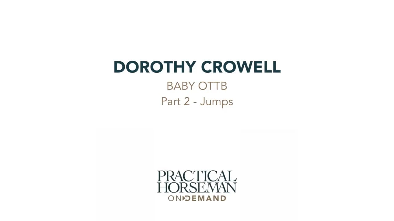Baby OTTB - Jumps | Dorothy Crowell | PART 02
