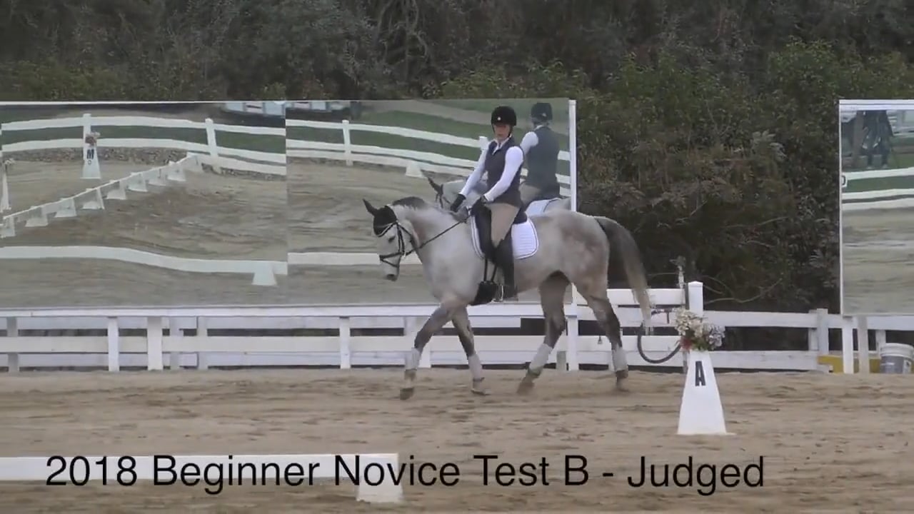 2018 Beginner Novice Test B - Judge's Perspective | Robyn Fisher | PART 04