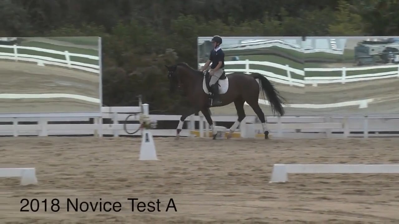 2018 Novice Test A - Judge's Perspective | Robyn Fisher | PART 02