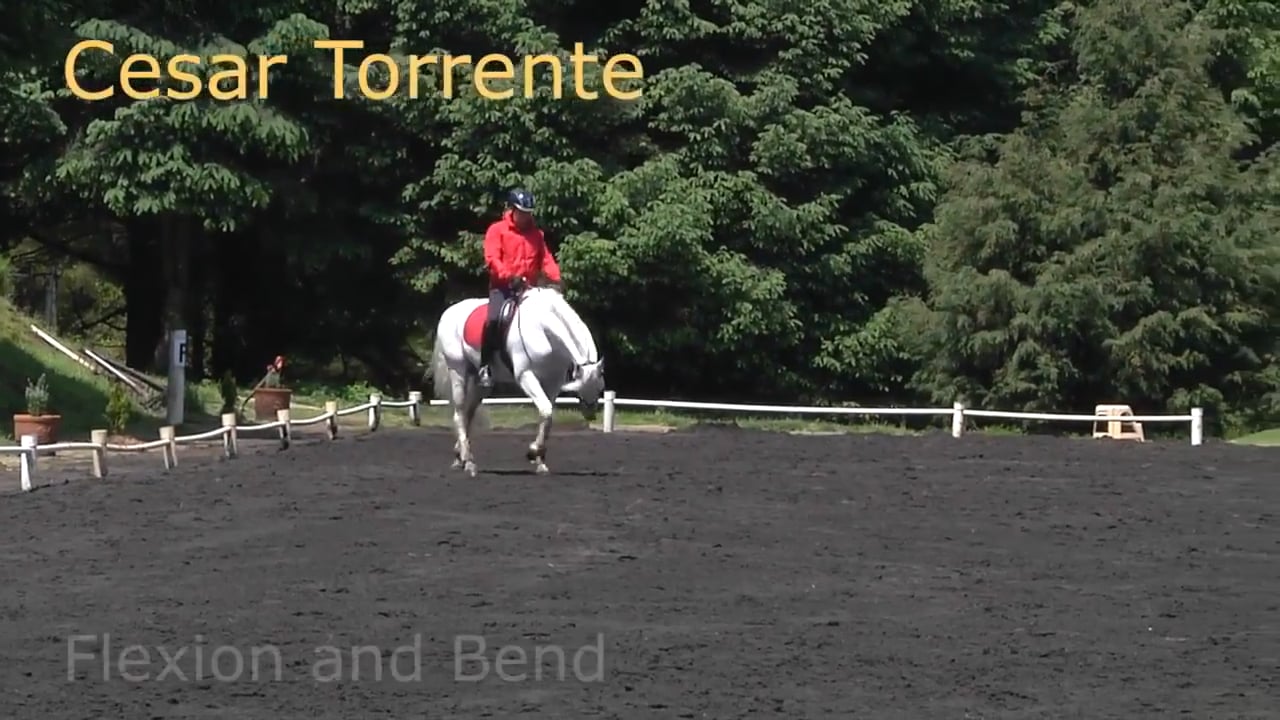 Basics with an Emphasis on Connection and Bend | Cesar Torrente | PART 02