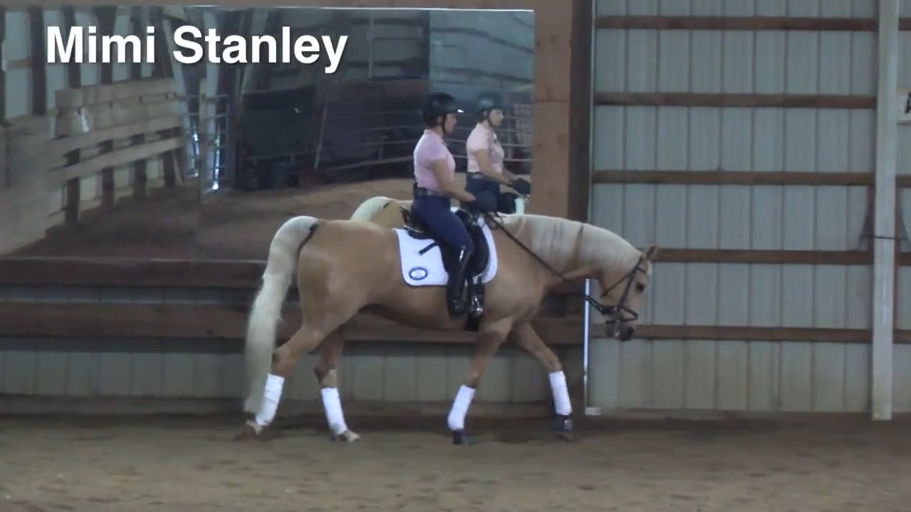 Arabian-Saddlebred Cross | Mimi Stanley | PART 03