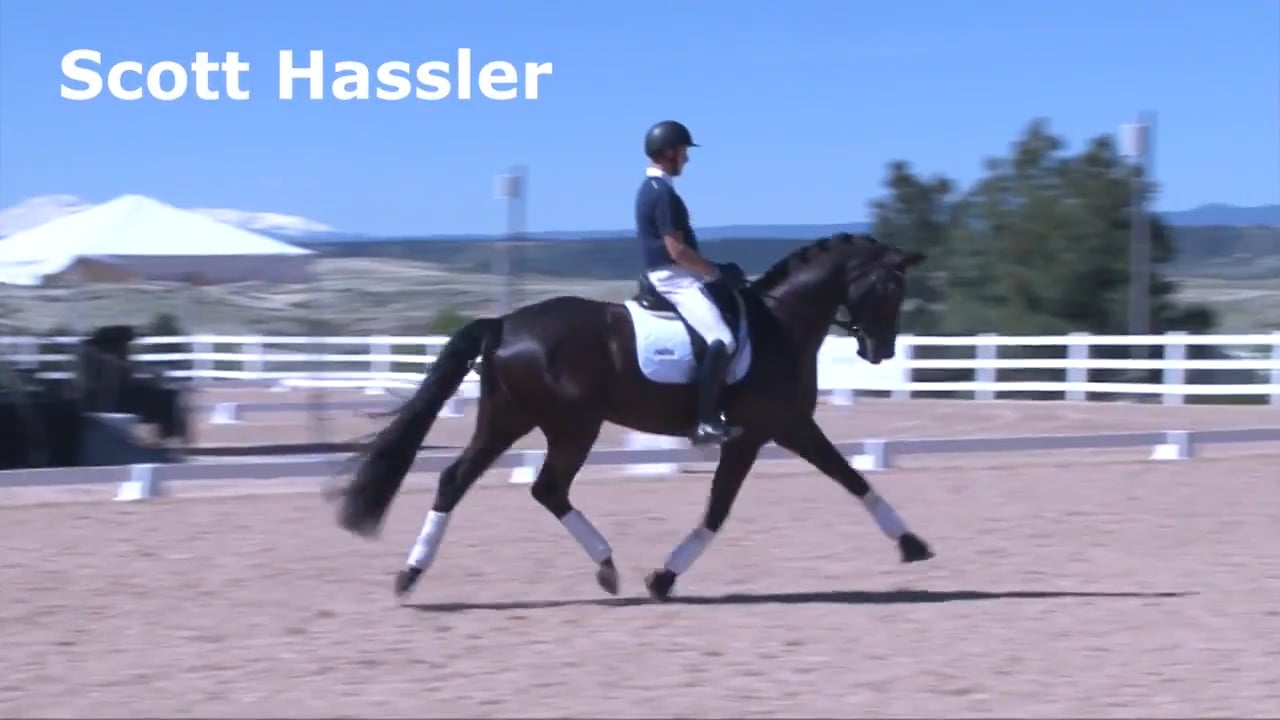 Carrying on the Hindquarters | Scott Hassler | PART 01