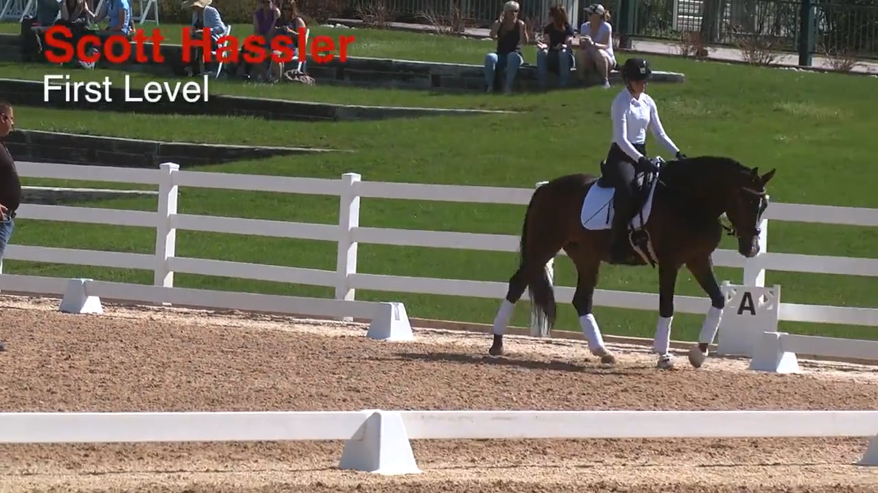 First Level | Scott Hassler