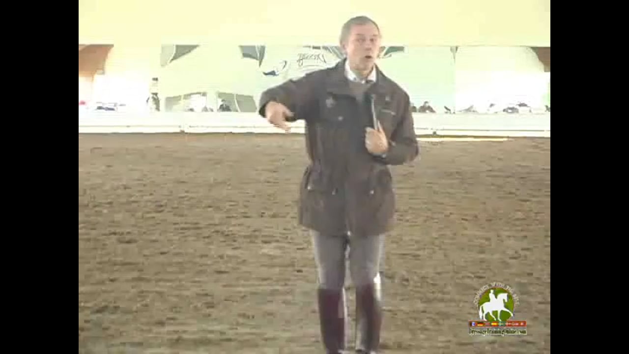 Working on Improving the Quality of the Gaits | Henk van Bergen | PART 03