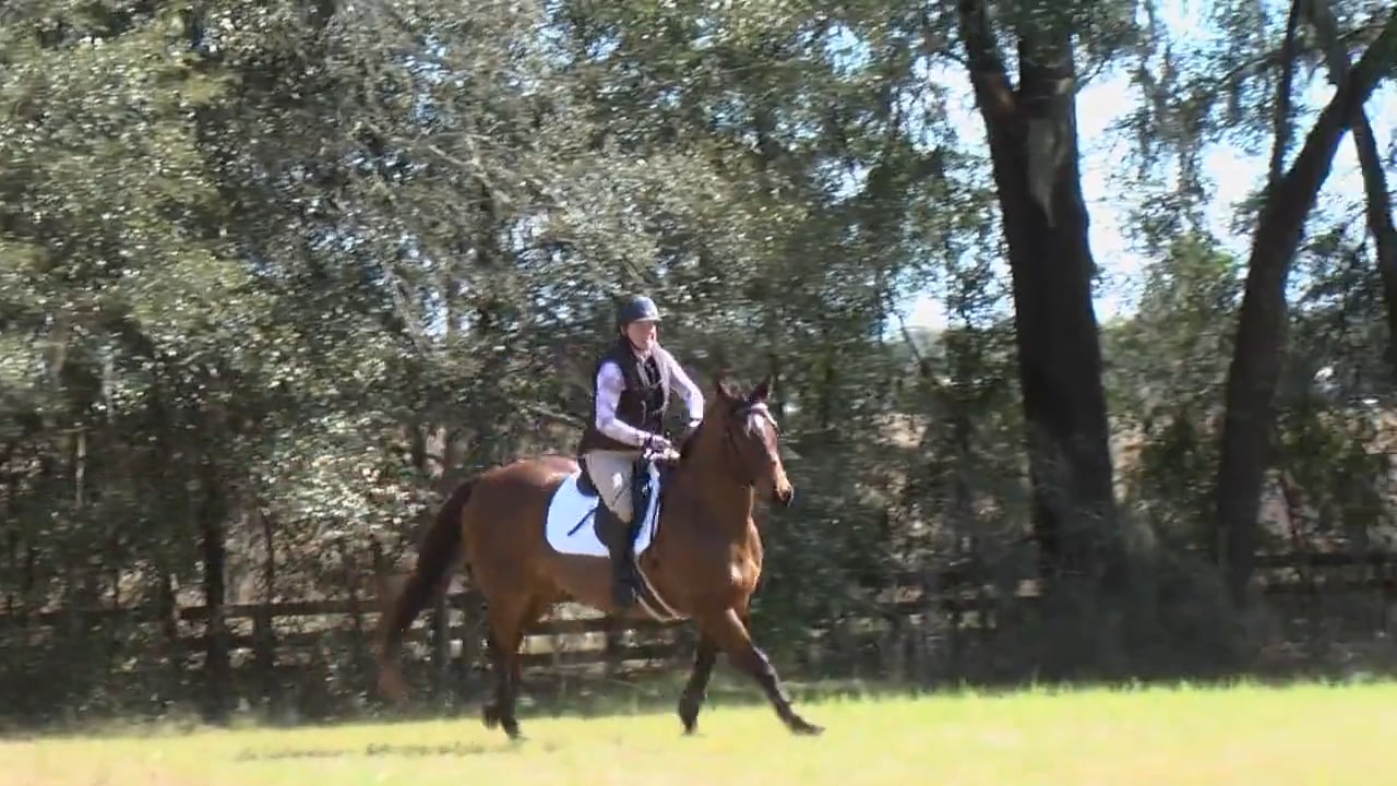 Cross Country School - Beg. Nov. through Prelim. | Ashley Johnson | PART 03