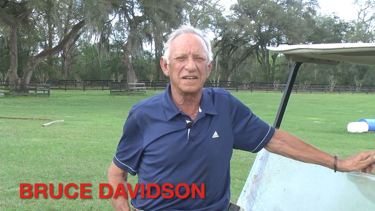 Basic Flatwork | Bruce Davidson | PART 01