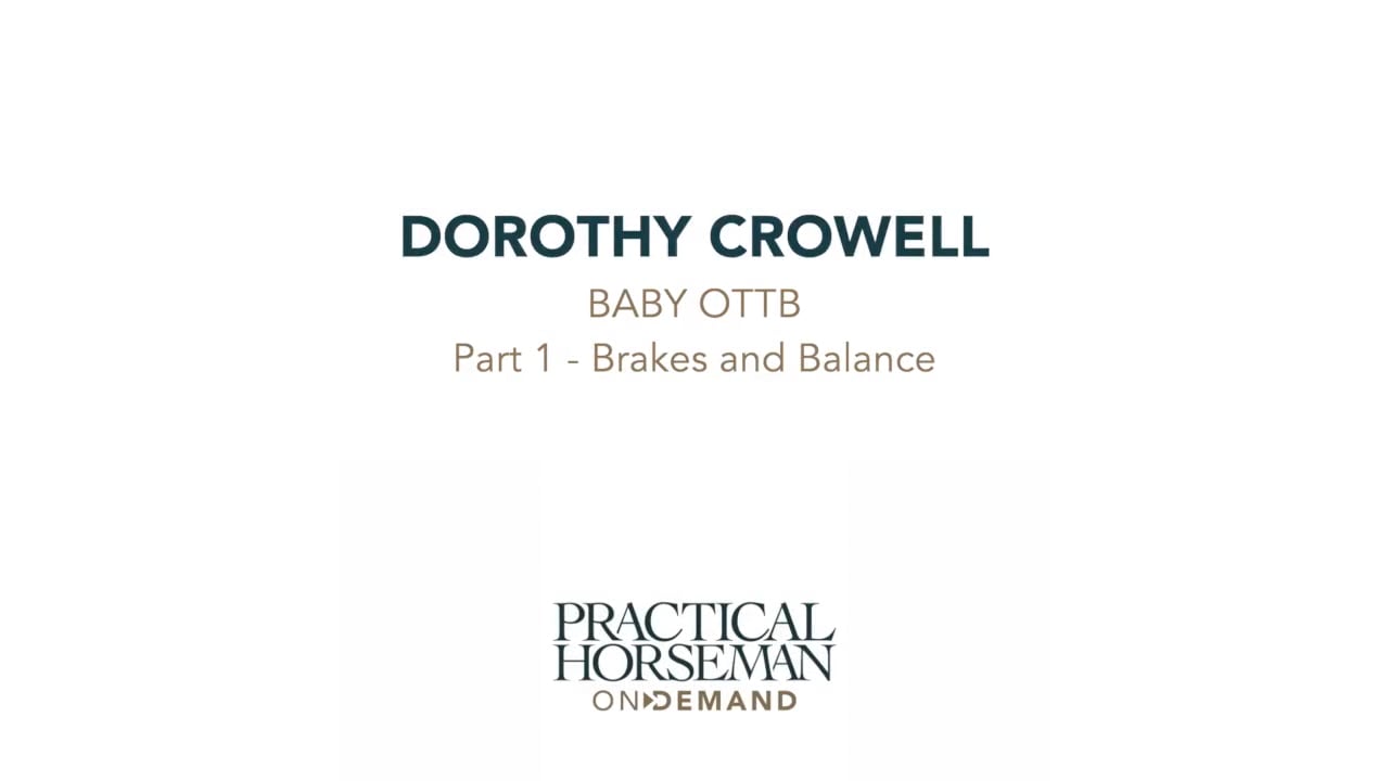 Baby OTTB - Brakes and Balance | Dorothy Crowell | PART 01