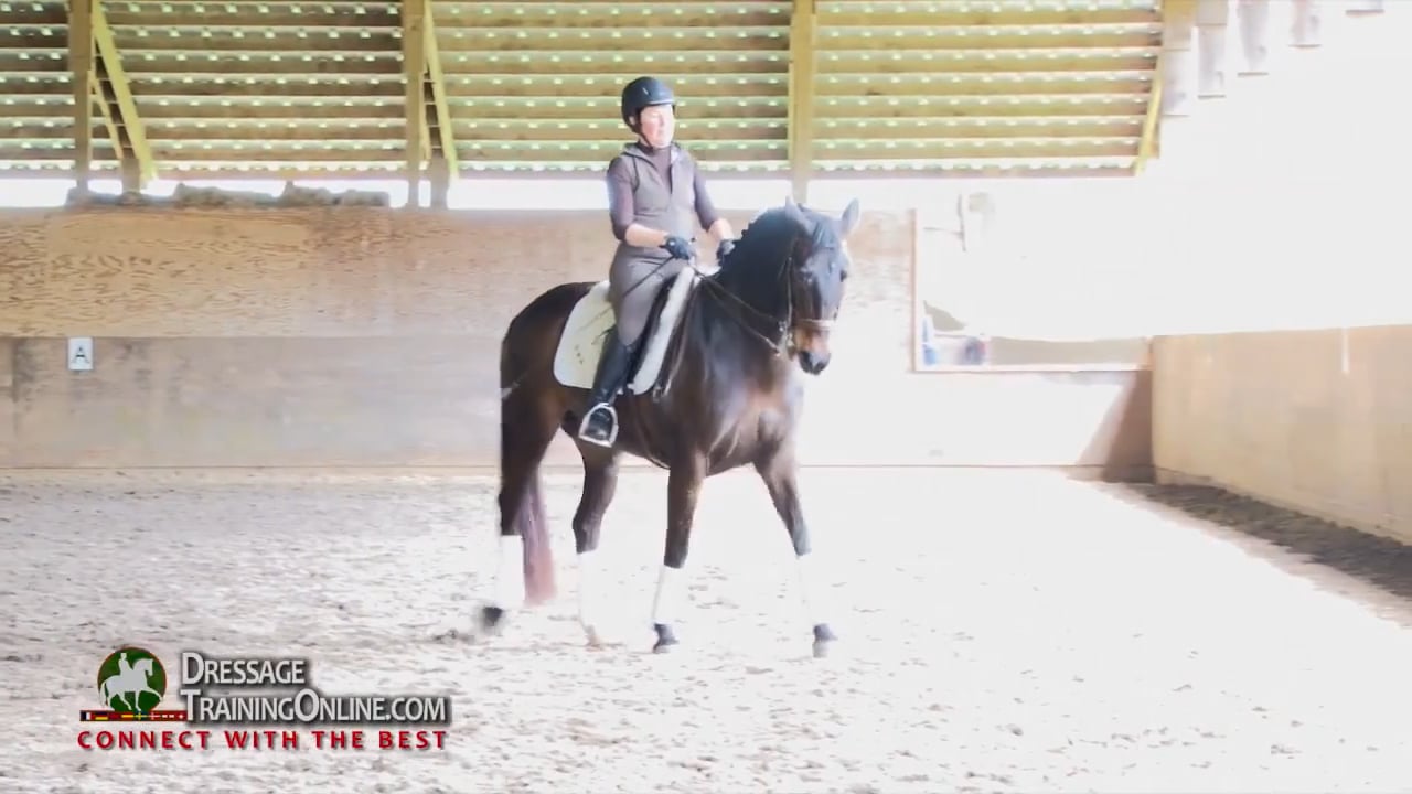 Canter Pirouettes | Laura Graves | PART 03