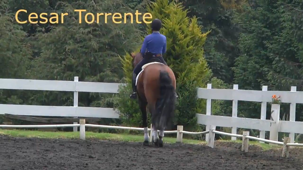 Engagement | Cesar Torrente | PART 02