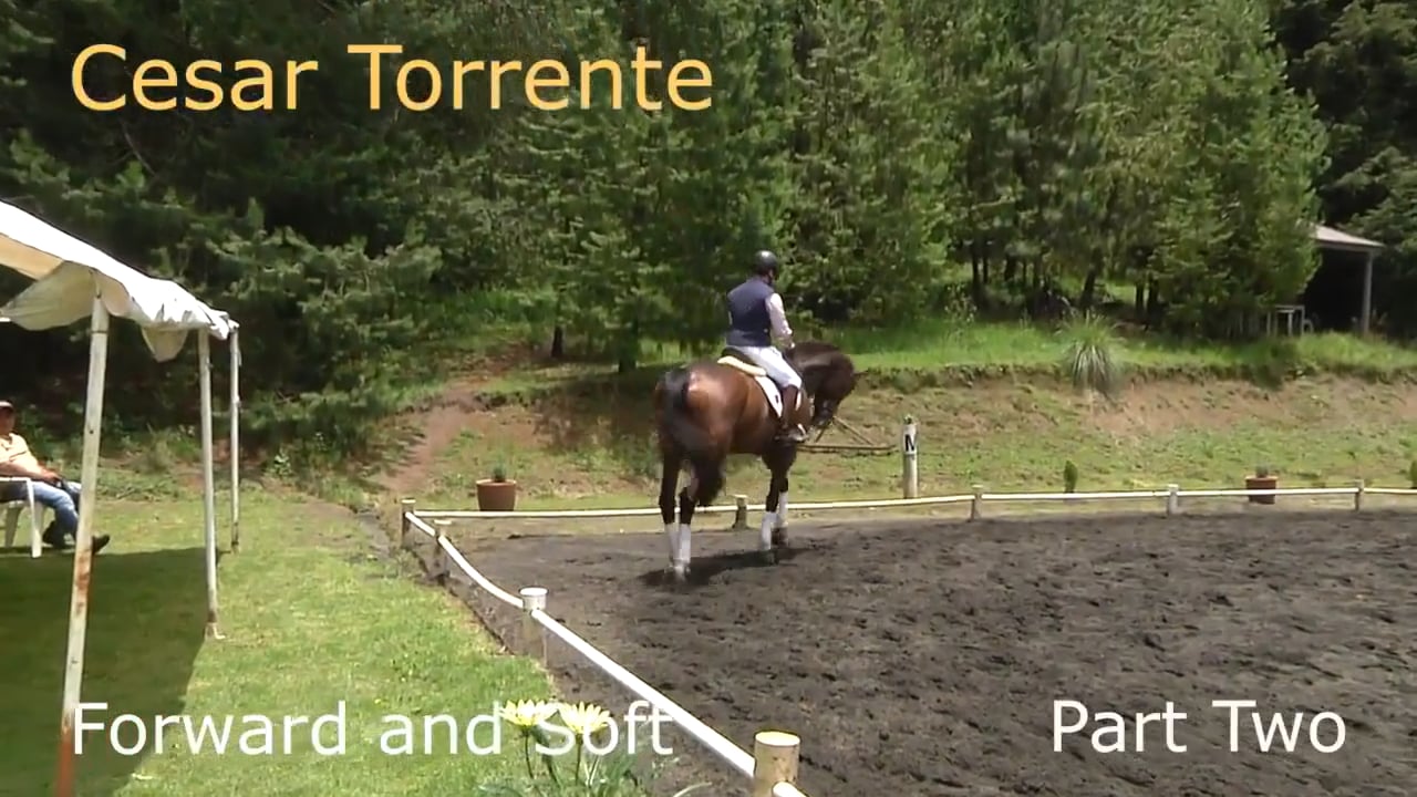 Forward and Soft | Cesar Torrente | PART 02