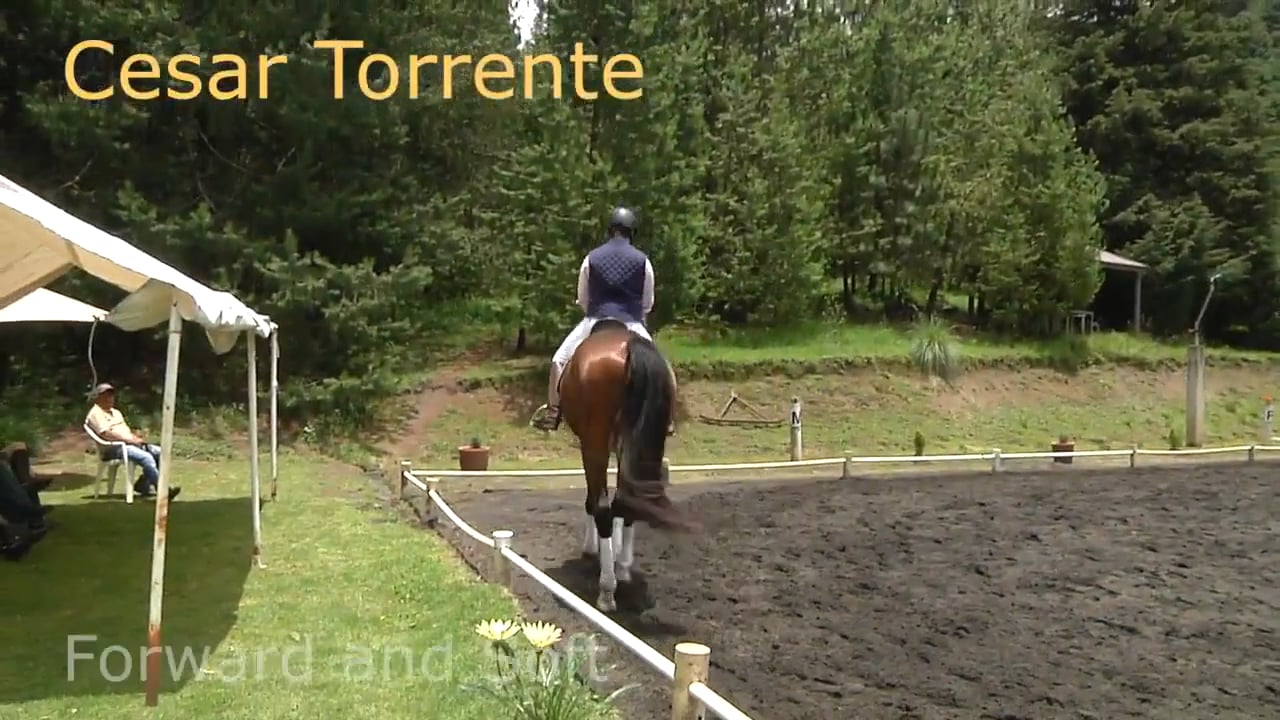Forward and Soft | Cesar Torrente | PART 02