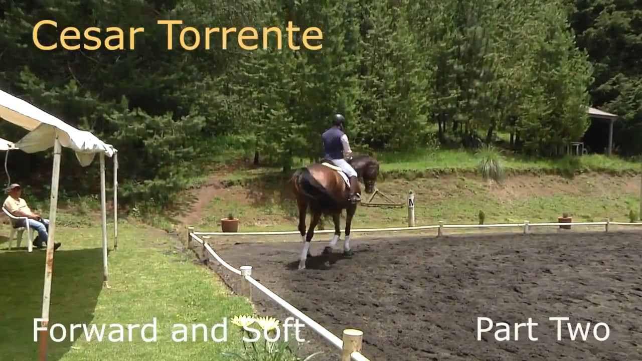 First Level Test 3 - Part 3