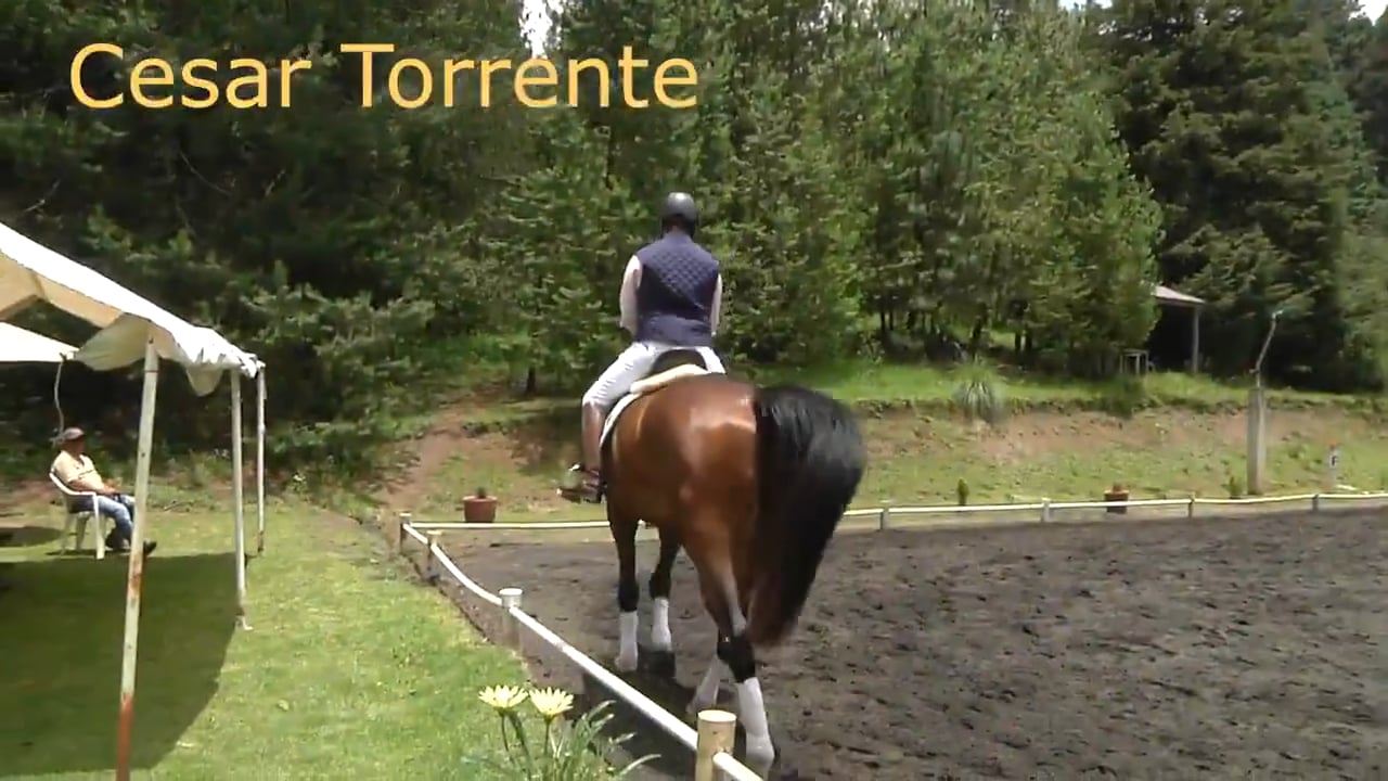 Forward and Soft | Cesar Torrente | PART 02