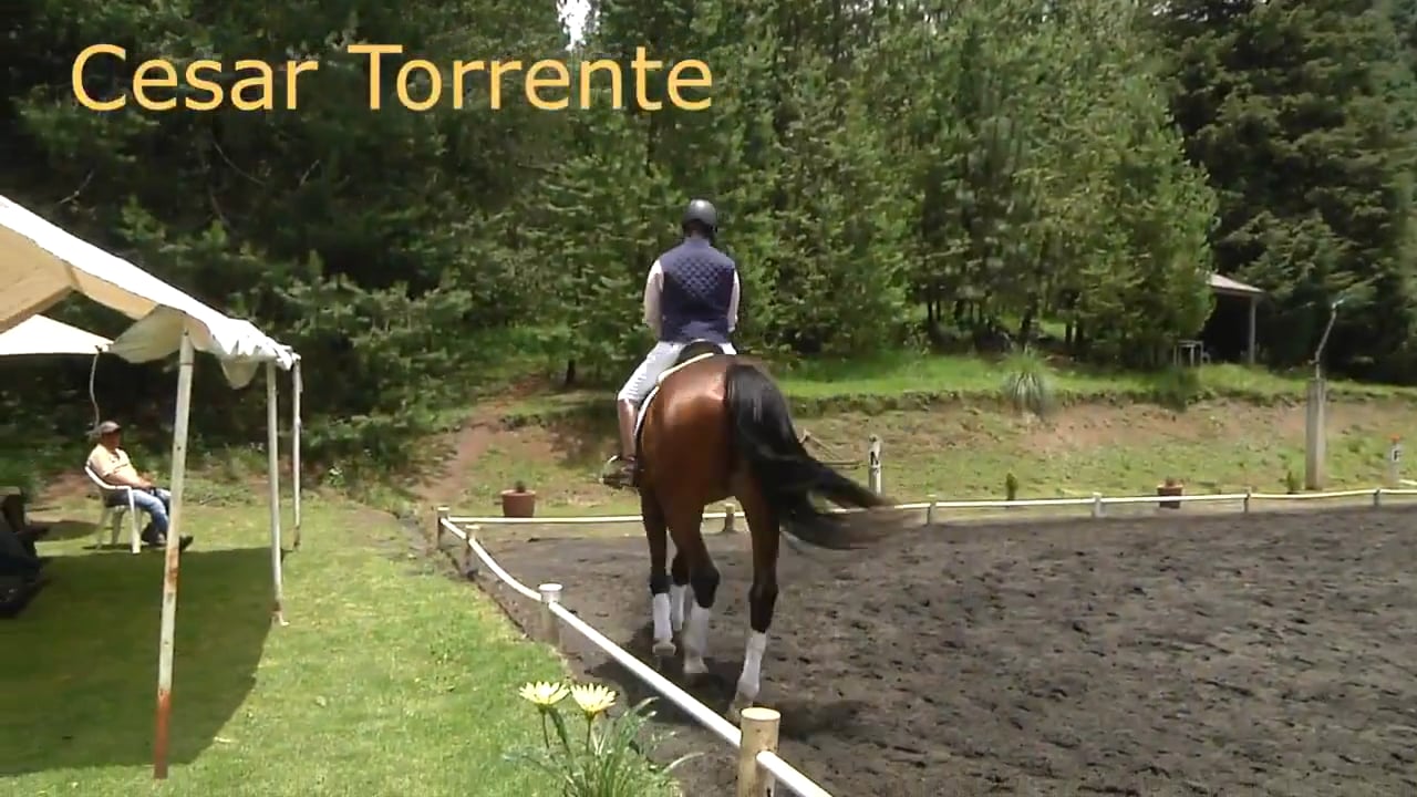 Forward and Soft | Cesar Torrente | PART 02