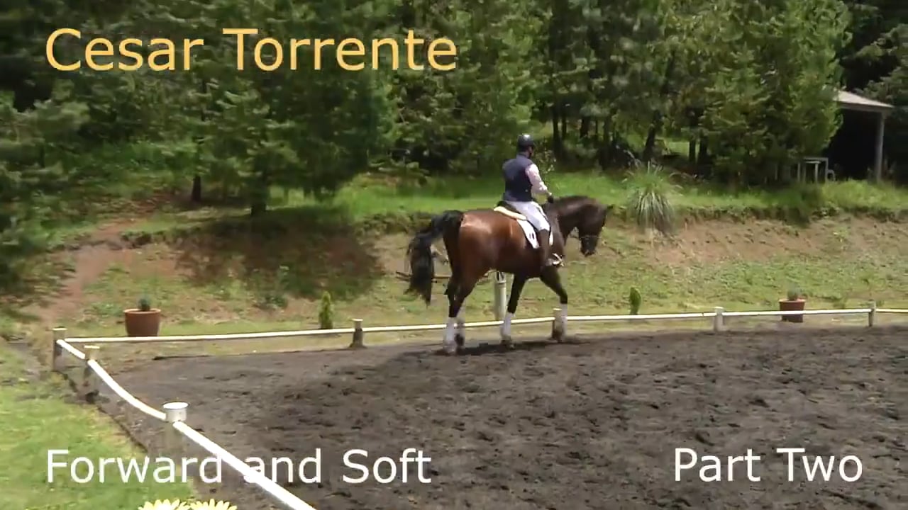 Forward and Soft | Cesar Torrente | PART 02