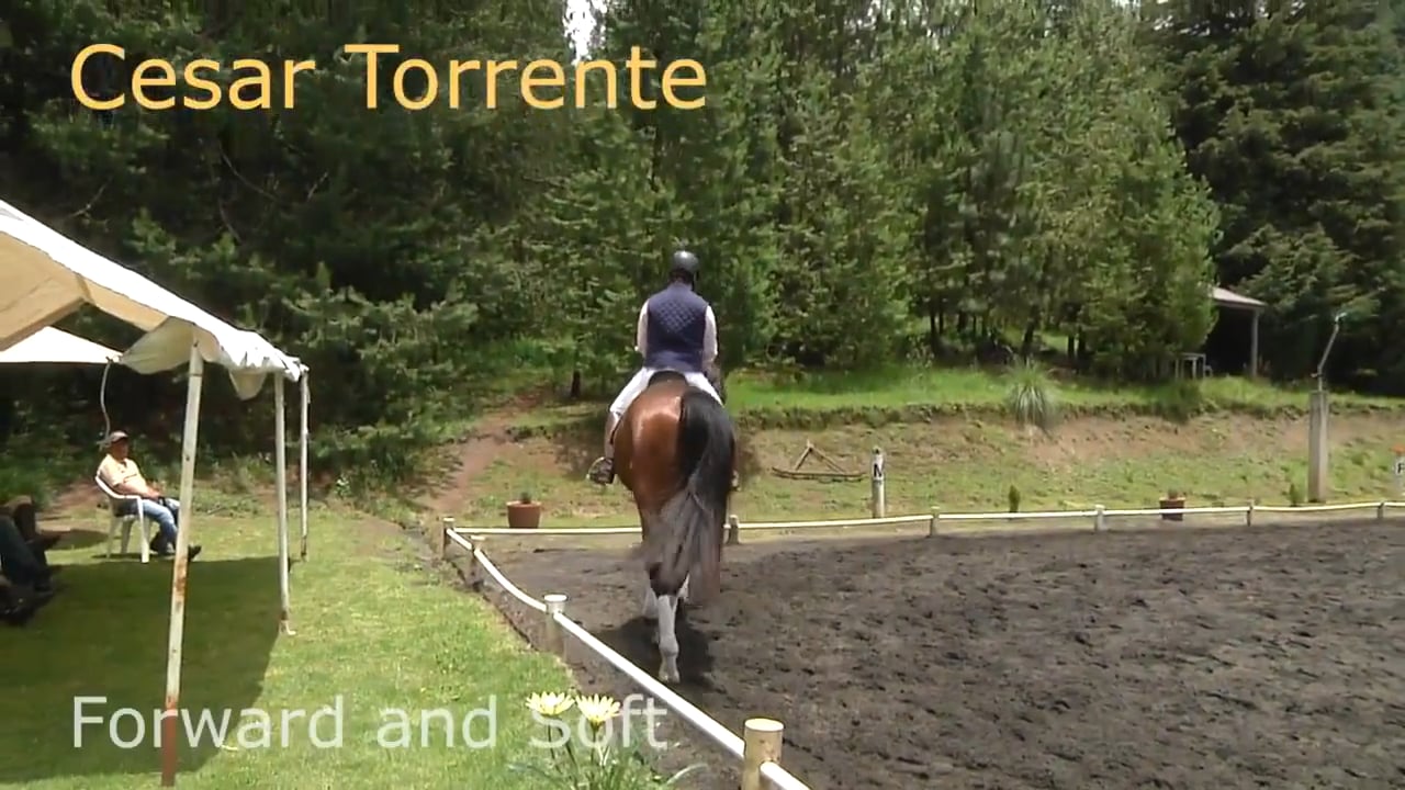 Forward and Soft | Cesar Torrente | PART 02