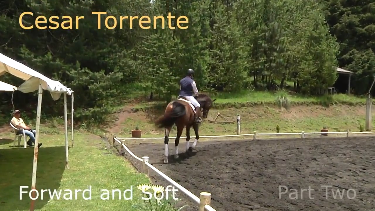 Forward and Soft | Cesar Torrente | PART 02