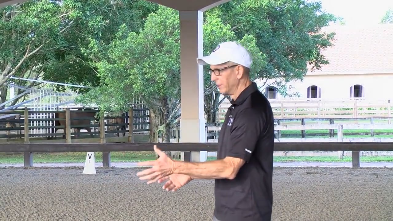 Equine Chiropractor | Dr. Steve Engle | PART 01