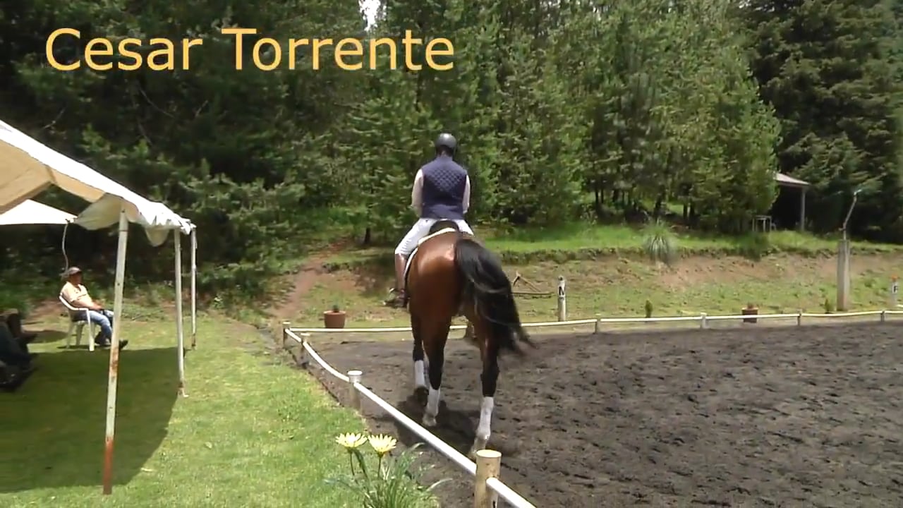 Forward and Soft | Cesar Torrente | PART 02