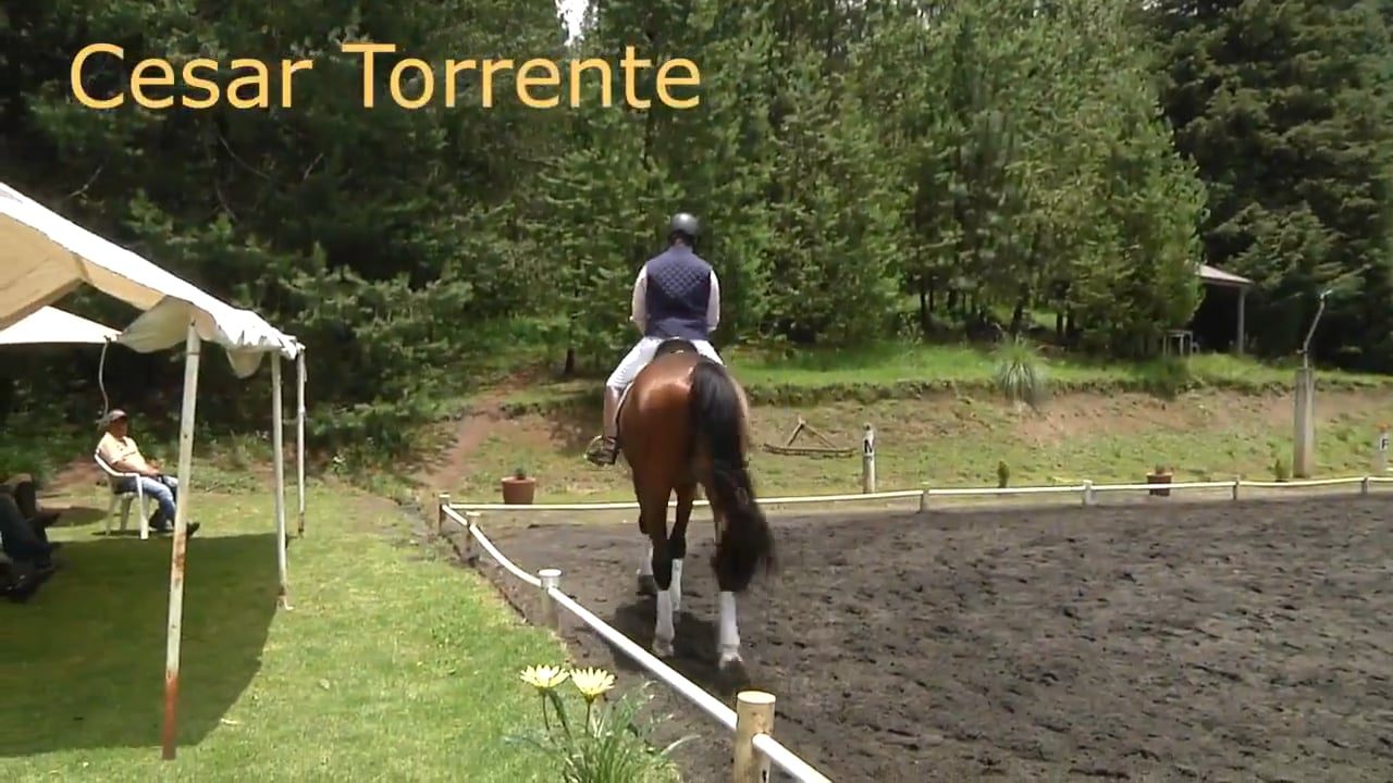 Forward and Soft | Cesar Torrente | PART 02