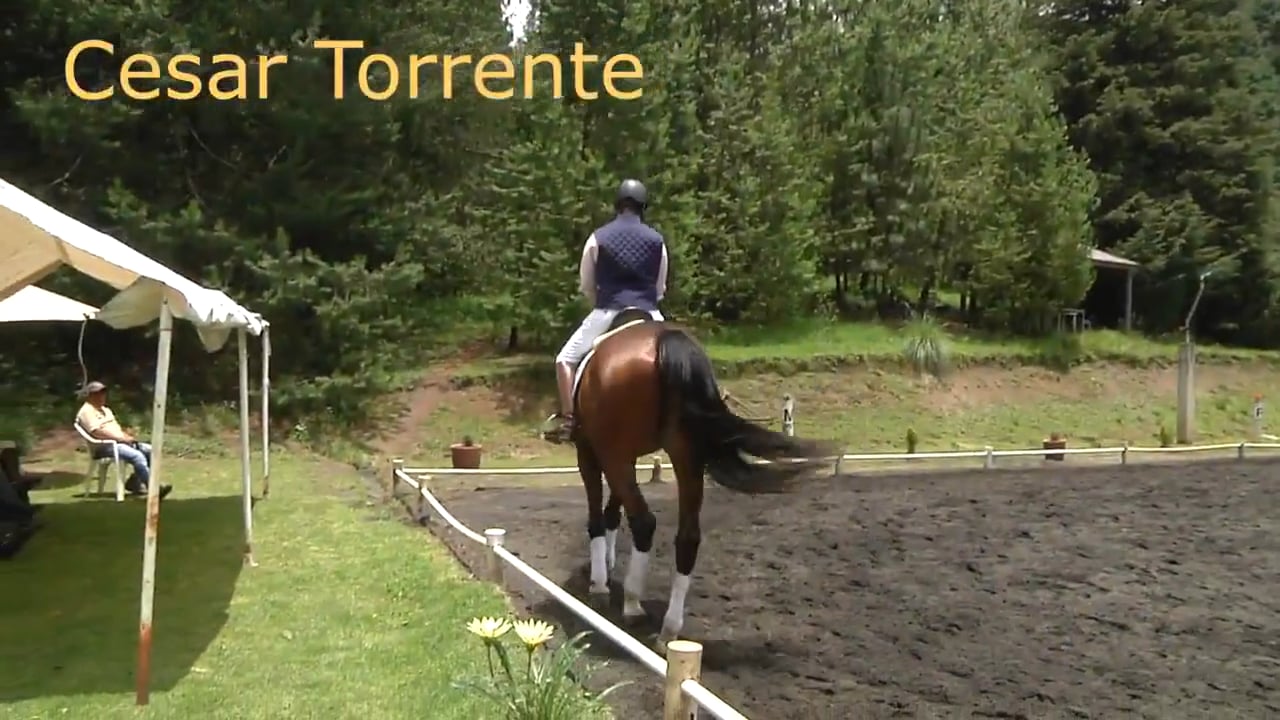 Forward and Soft | Cesar Torrente | PART 02