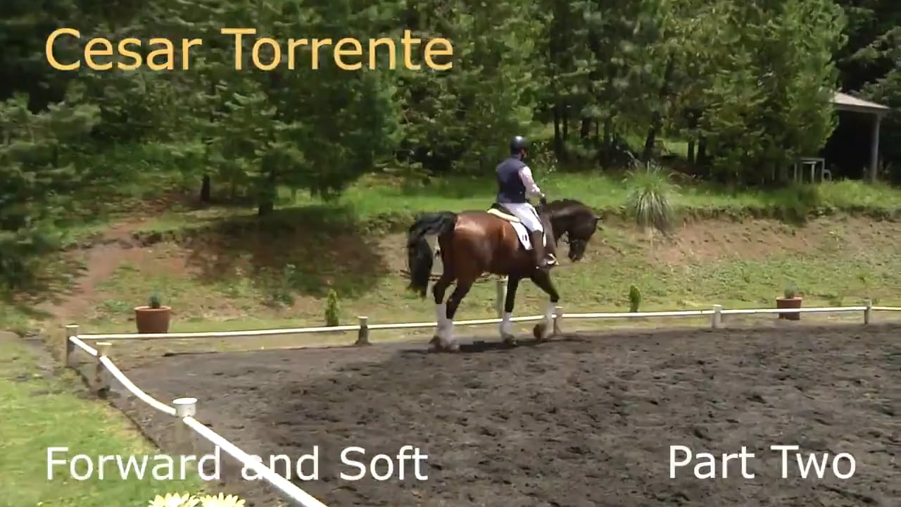 Forward and Soft | Cesar Torrente | PART 02