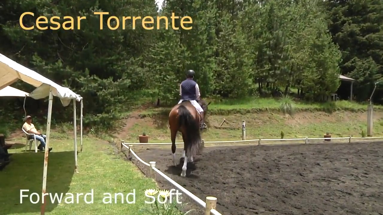 Forward and Soft | Cesar Torrente | PART 02
