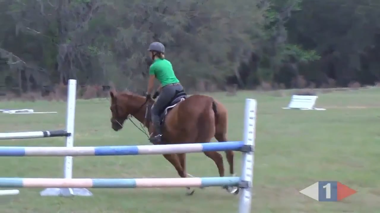 Get Those Feet Moving - Eventing Horses | Dorothy Crowell | TRAILER