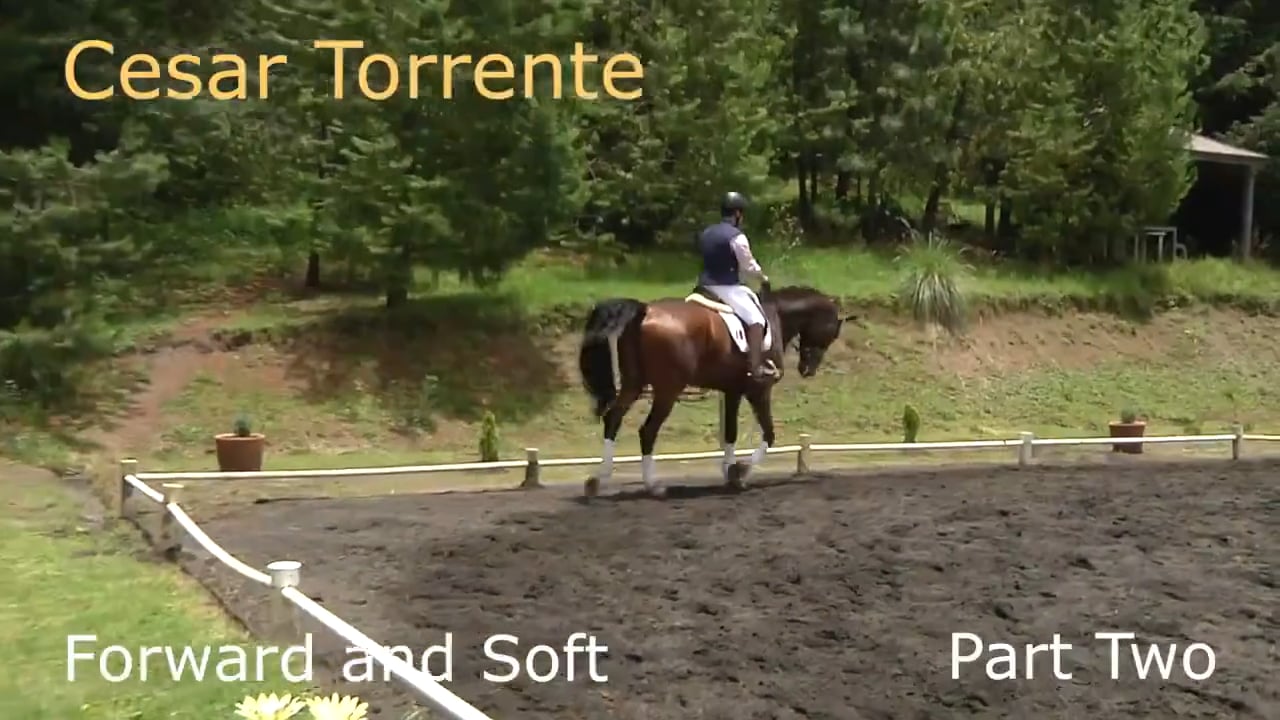 Forward and Soft | Cesar Torrente | PART 02