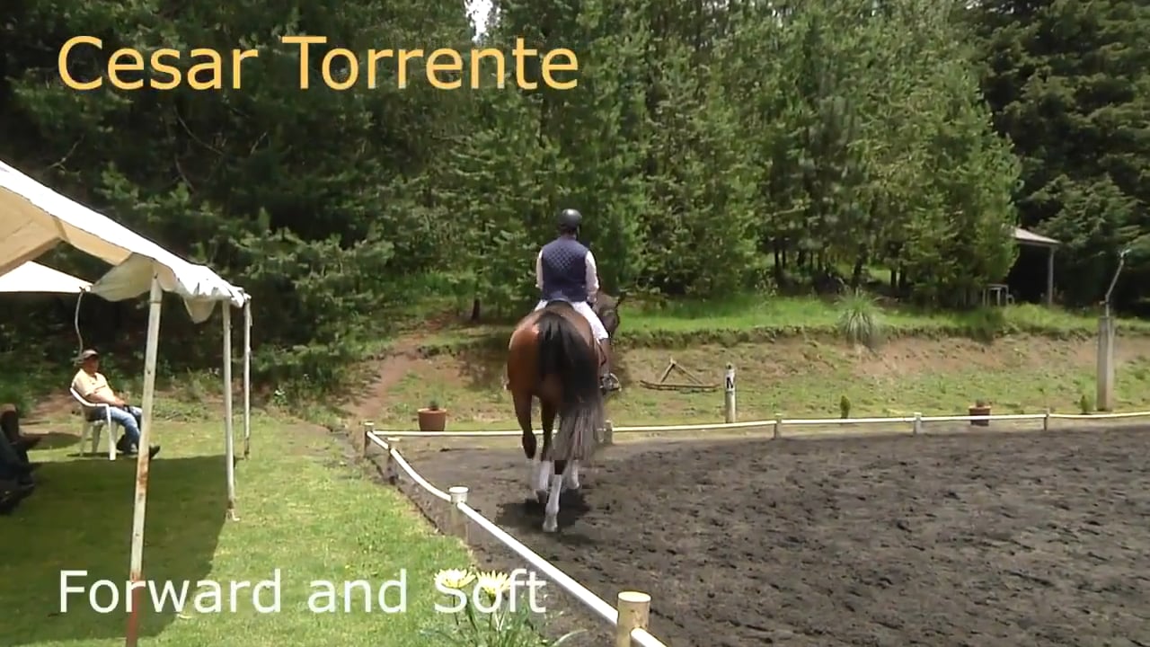 Forward and Soft | Cesar Torrente | PART 02
