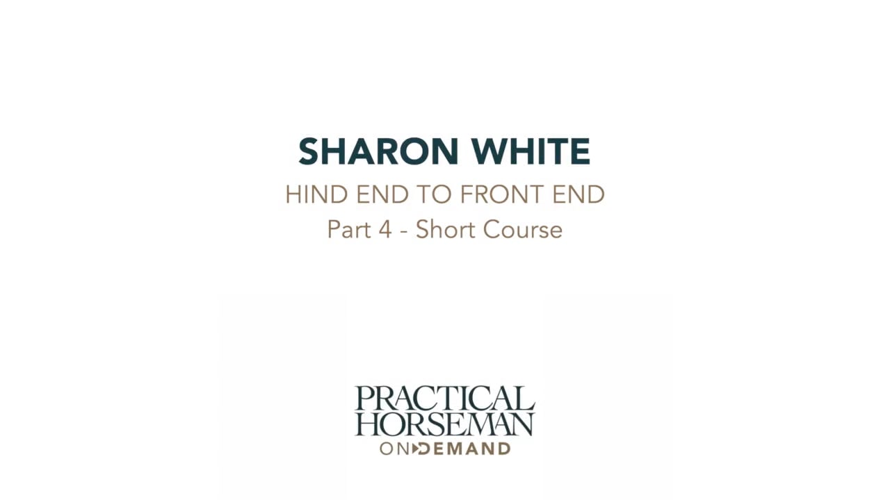 Hind End to Front End | Sharon White | PART 04