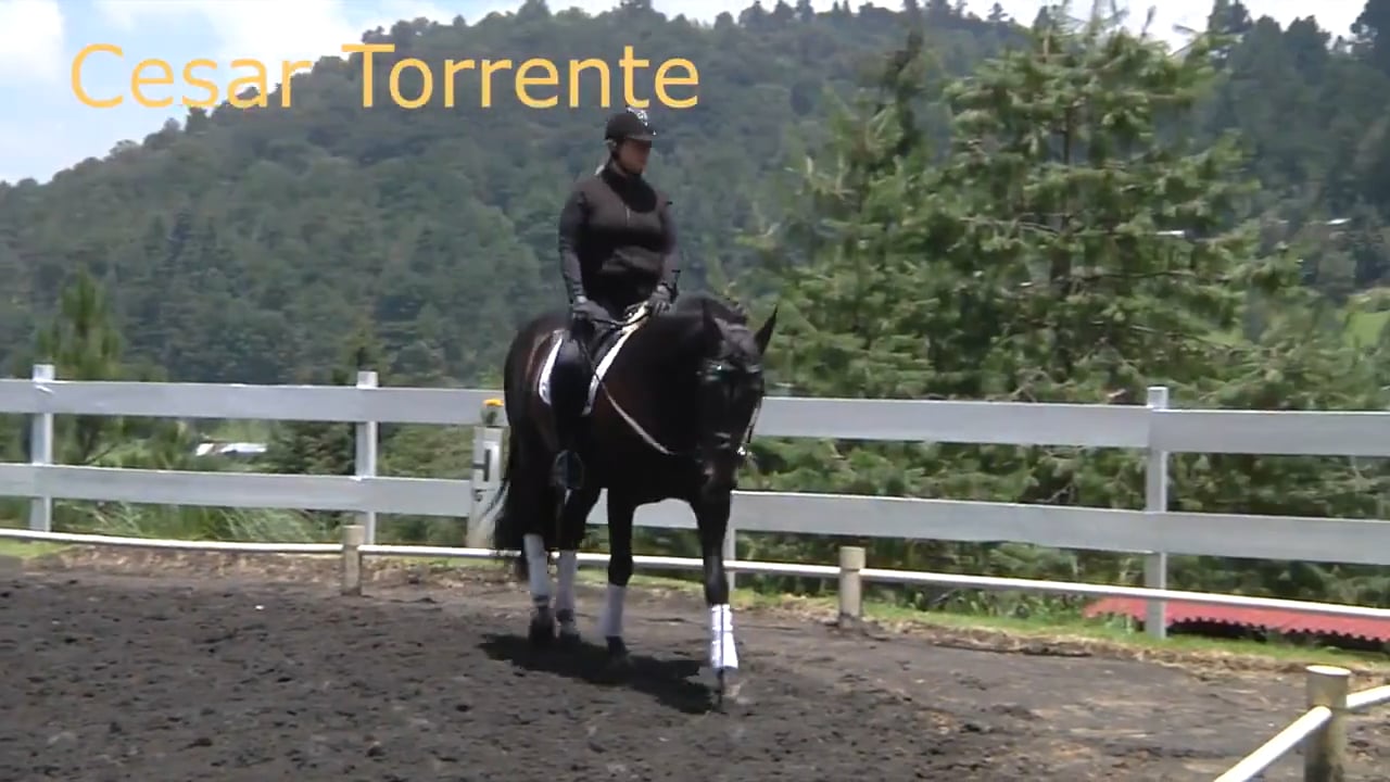 Fourth Level Collection | Cesar Torrente | PART 02