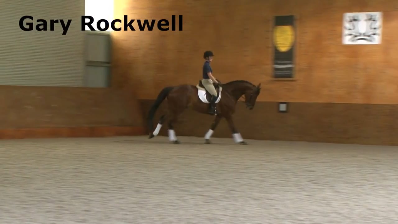 Delicate Connection | Gary Rockwell | PART 01