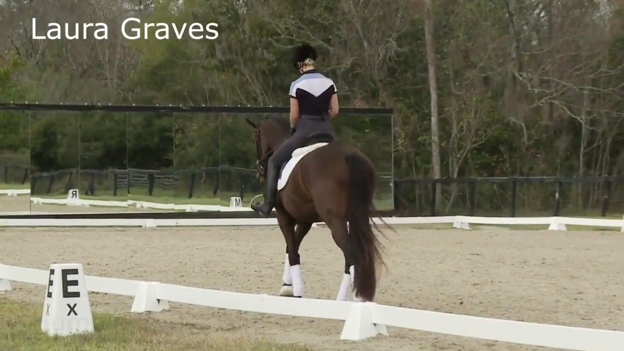 Humble in the Bridle | Laura Graves| PART 03