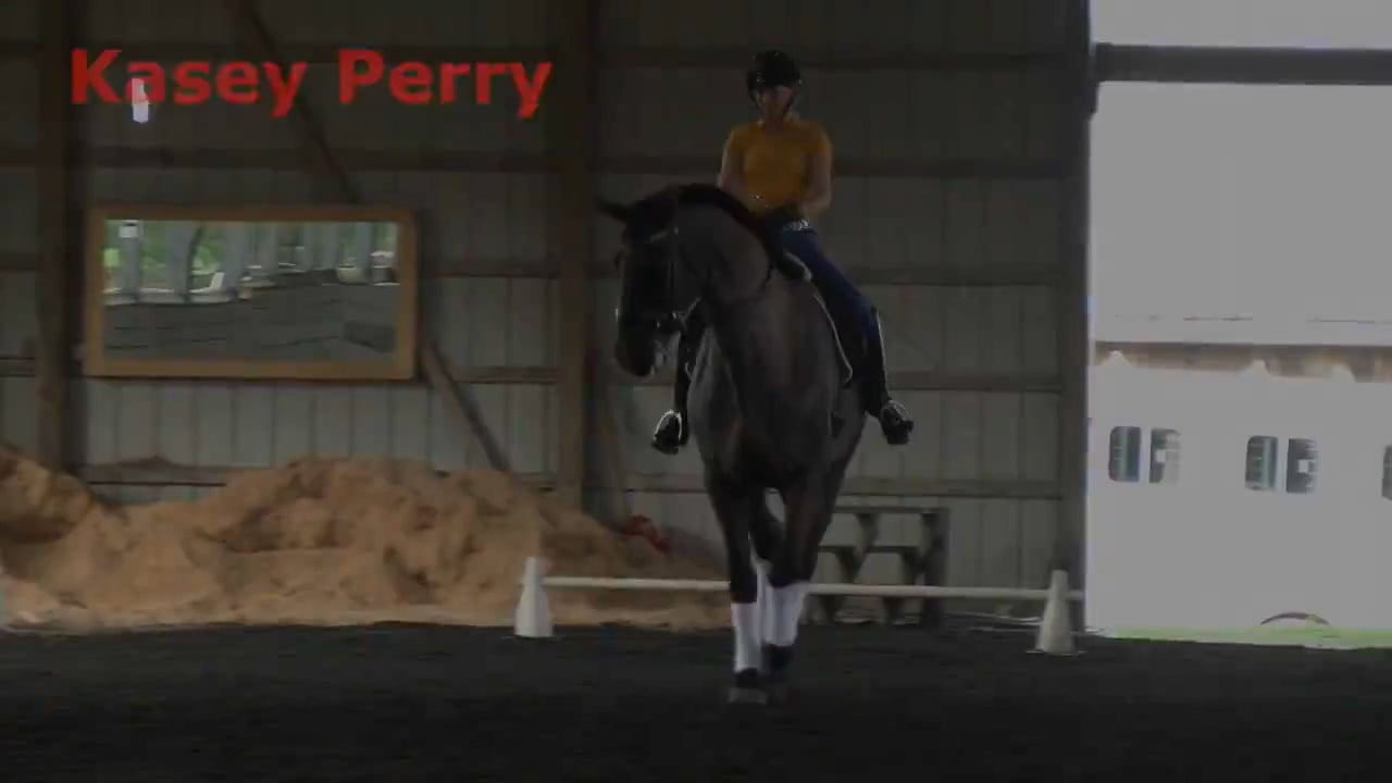Hot Off the Leg - Trot Lateral Work | Kasey Perry-Glass | PART 01